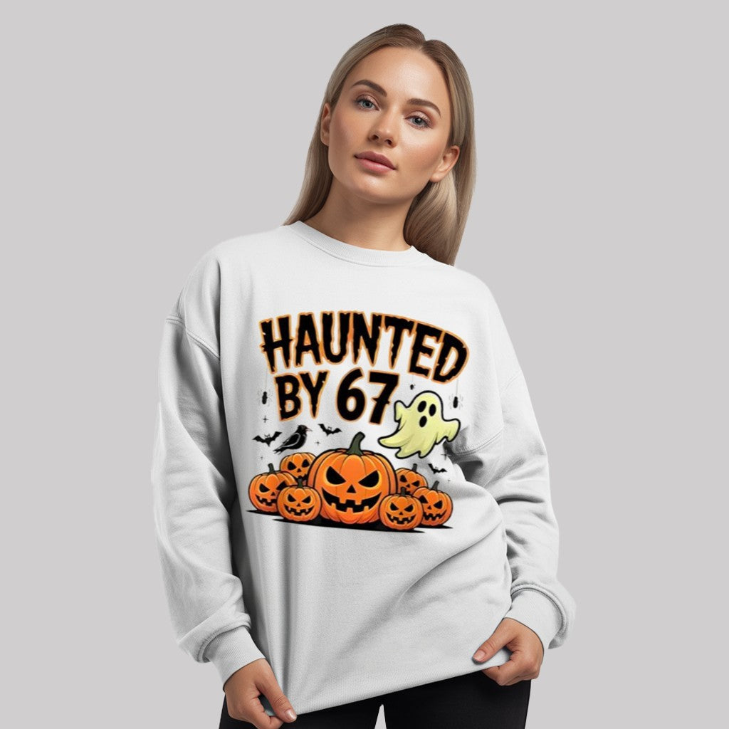 Funny Haunted By 67 Halloween Costume Shirt