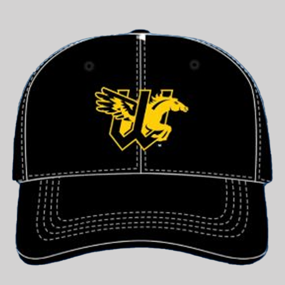Wichita Wind Surge New Hat Giveaway 2025